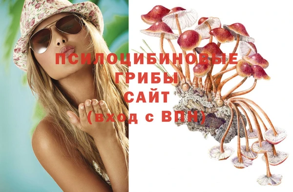 соль курить ск Каменногорск