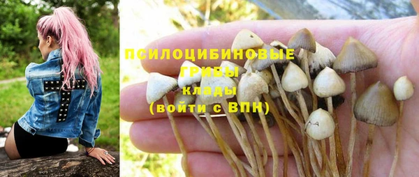 соль курить ск Каменногорск